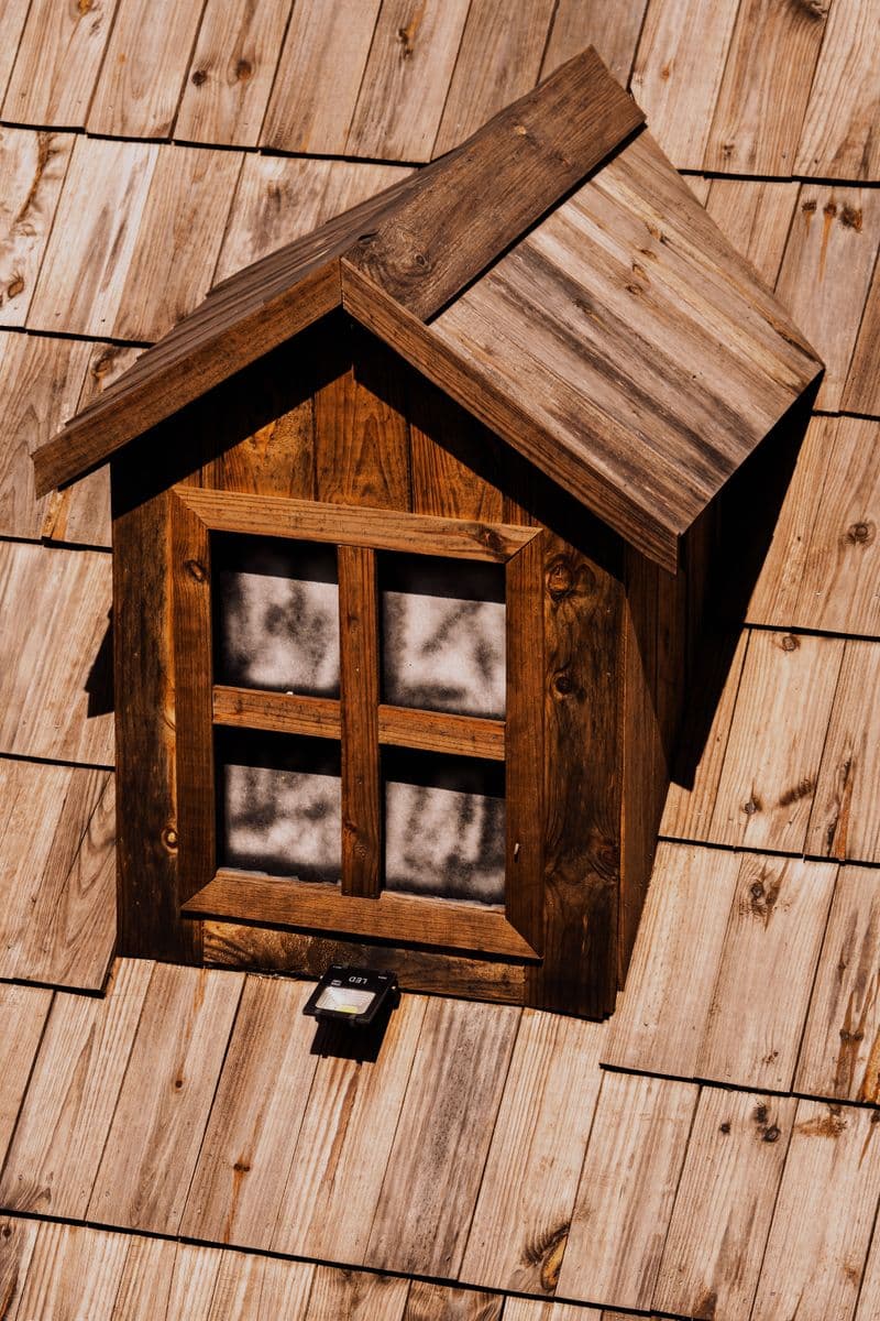 Roof & Gutter Cleaning